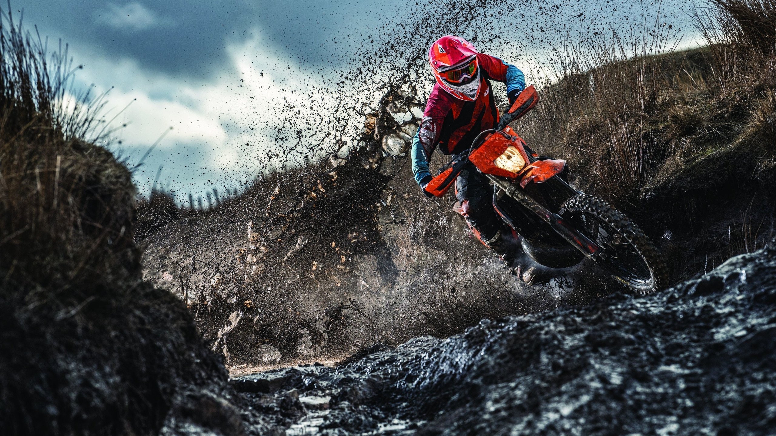 “南非羚羊队的强大阵容：萨尔·巴赫和其他新星的完美搭档”